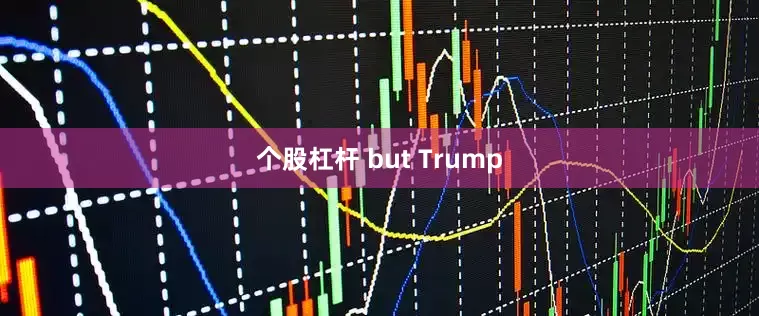 个股杠杆 but Trump